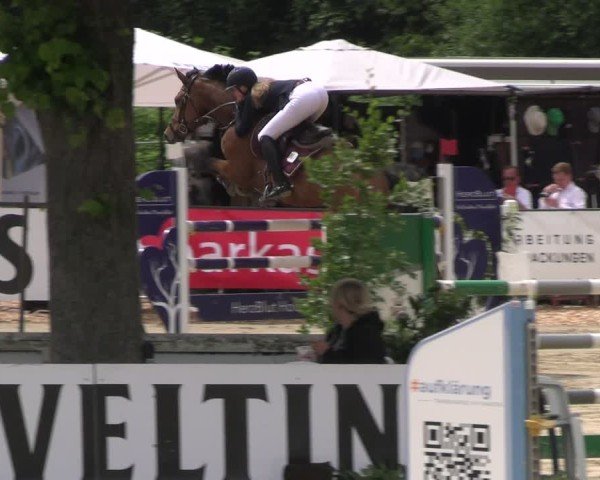 Reitturnier Hellefeld 2025