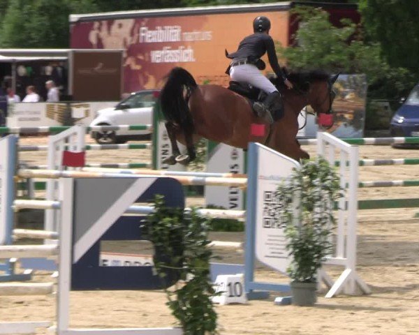 Reitturnier Hellefeld 2025