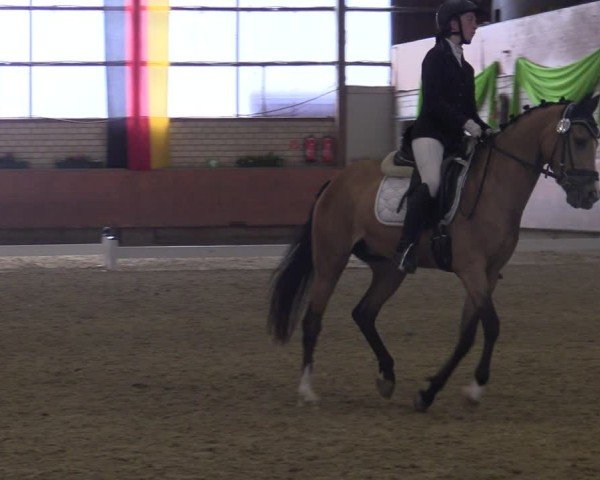 Reitturnier Hellefeld 2025
