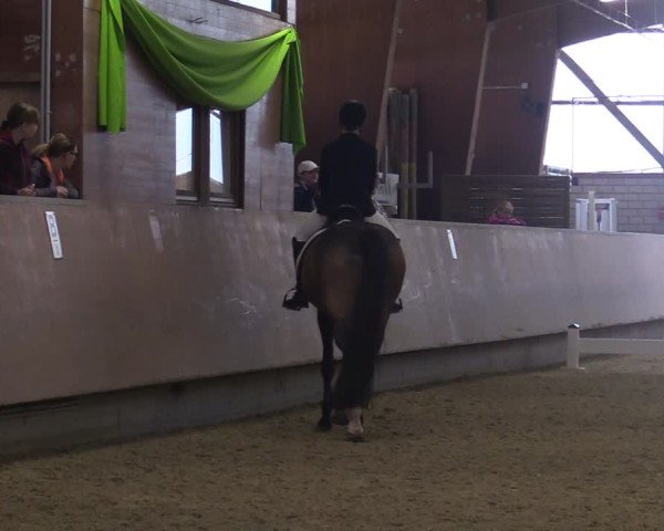 Reitturnier Hellefeld 2025