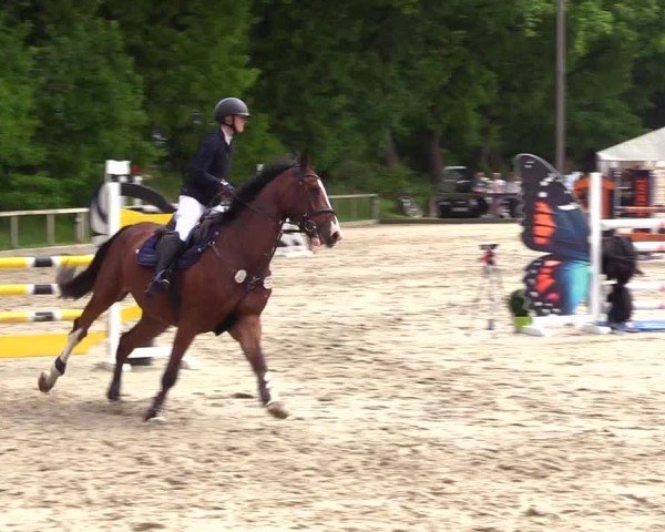 Reitturnier Kropp 2025
