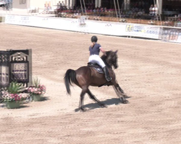 Reitturnier Lassee 2025