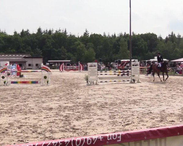 Reitturnier Kropp 2025