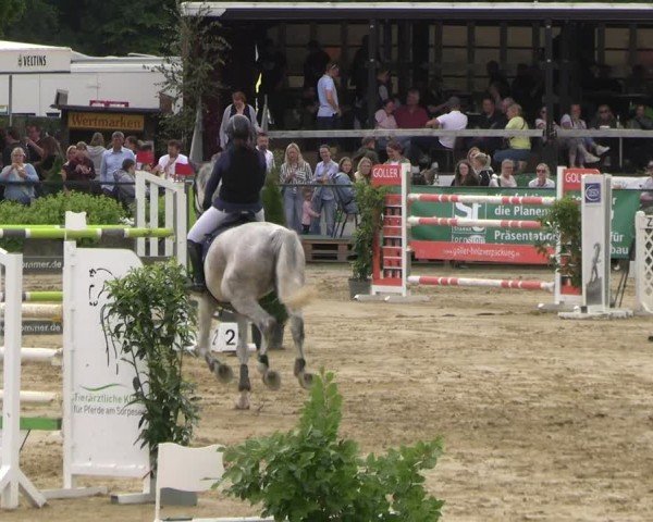 Reitturnier Hellefeld 2025
