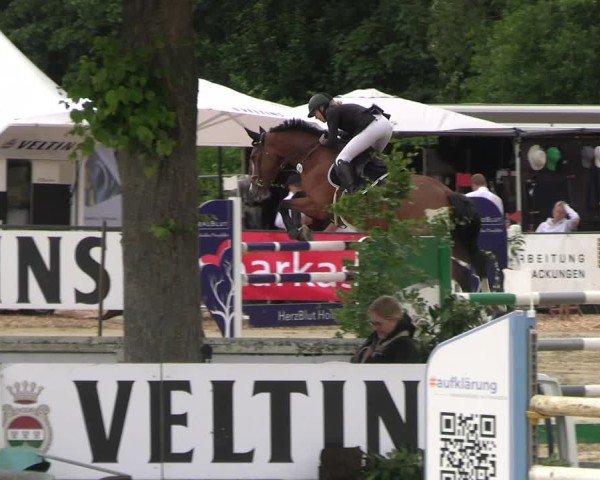 Reitturnier Hellefeld 2025