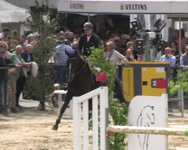 Reitturnier Hellefeld 2025