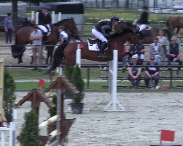 Reitturnier Hamm-Rhynern 2025