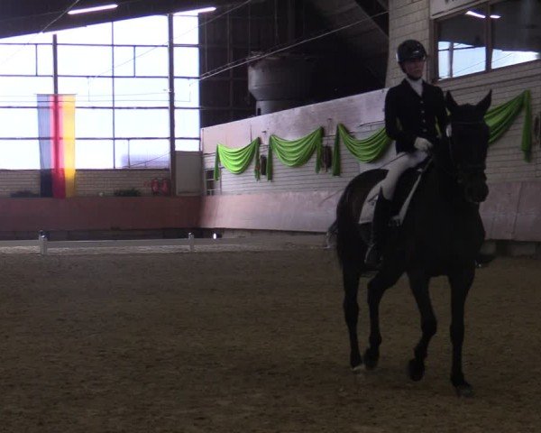 Reitturnier Hellefeld 2025