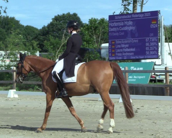 Reitturnier Scharnebeck 2025
