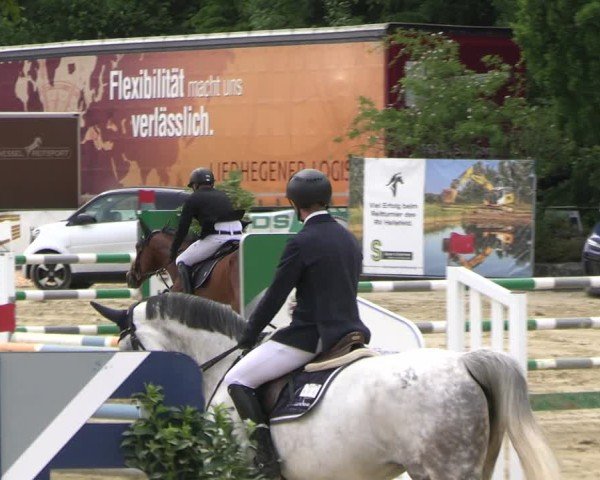 Reitturnier Hellefeld 2025