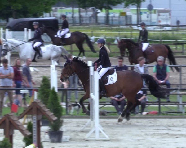 Reitturnier Hamm-Rhynern 2025