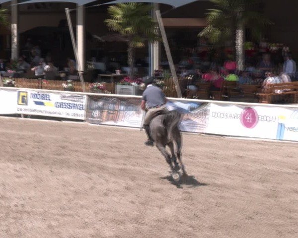 Reitturnier Lassee 2025