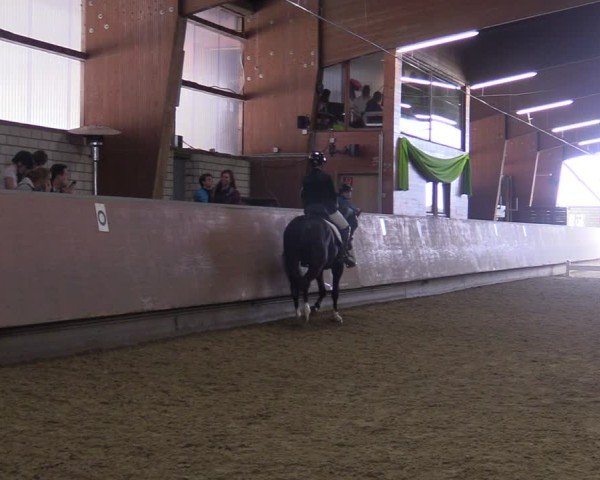Reitturnier Hellefeld 2025