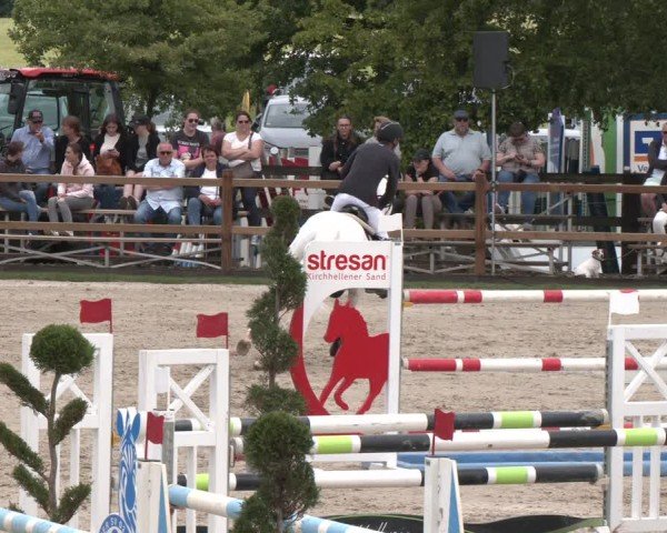 Reitturnier Kirchhellen/Stall Dieckmann 2025