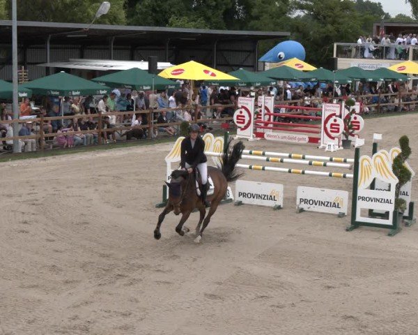Reitturnier Kirchhellen/Stall Dieckmann 2025