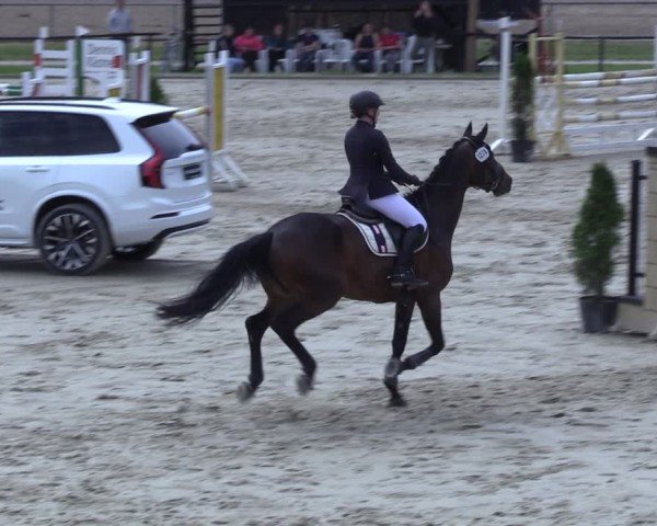 Reitturnier Hamm-Rhynern 2025