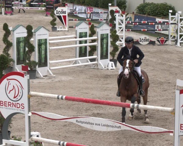 Reitturnier Kirchhellen/Stall Dieckmann 2025