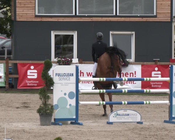 Reitturnier Kirchhellen/Stall Dieckmann 2025