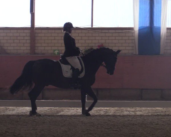 Reitturnier Hellefeld 2025