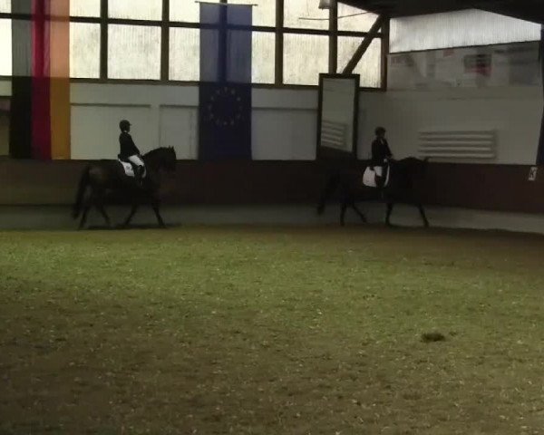 Eröffnung der grünen Saison Bottrop 2014