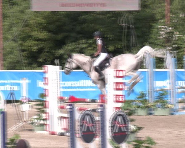Reitturnier Lassee 2025