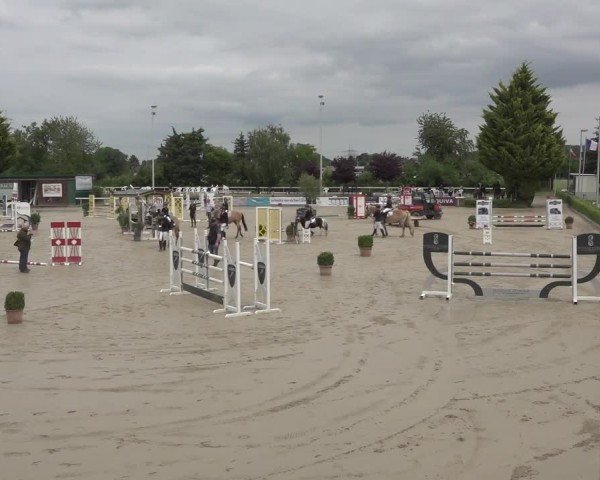 Reitturnier Bornheim-Widdig 2025