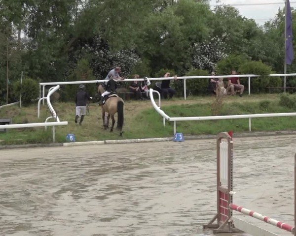 Reitturnier Bornheim-Widdig 2025