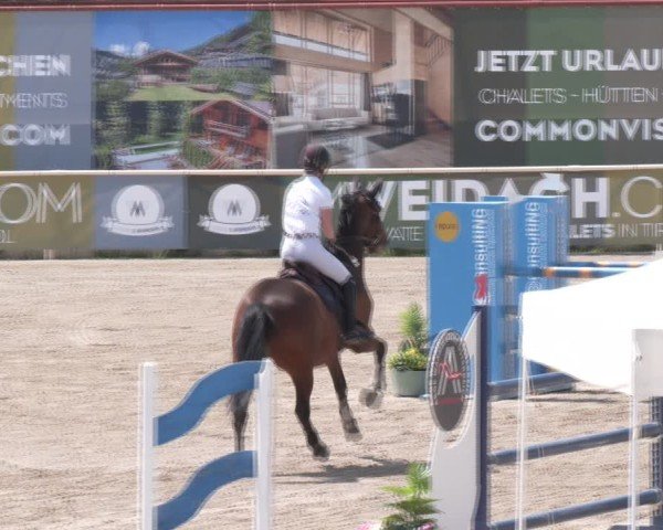 Reitturnier Lassee 2025