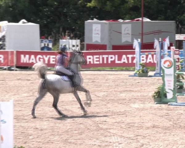 Reitturnier Lassee 2025