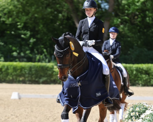 dressage horse FBW Felipe (German Sport Horse, 2015, from Fürstenball)