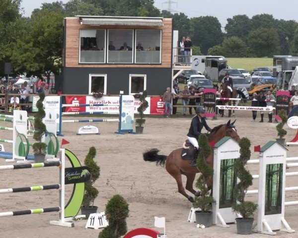 Reitturnier Kirchhellen/Stall Dieckmann 2025