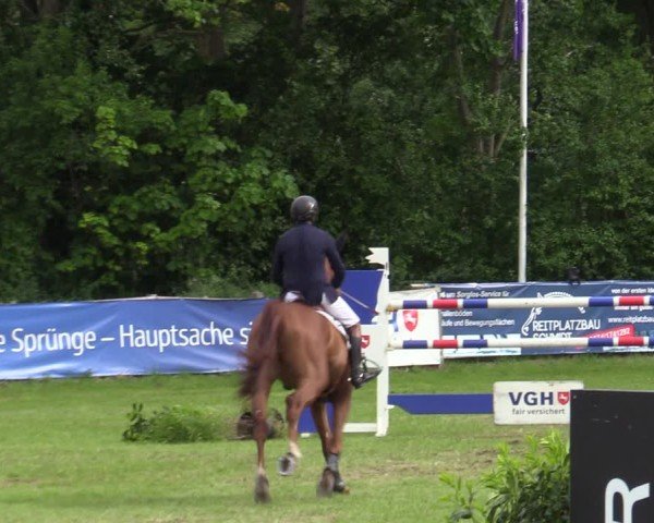 Reitturnier Scharnebeck 2025