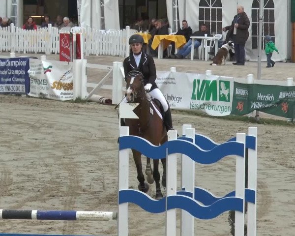 Lenklarer Reitertage 2014