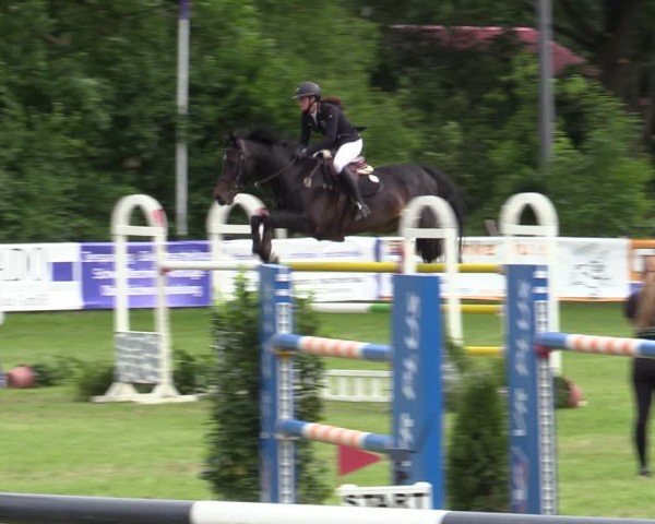 Reitturnier Scharnebeck 2025