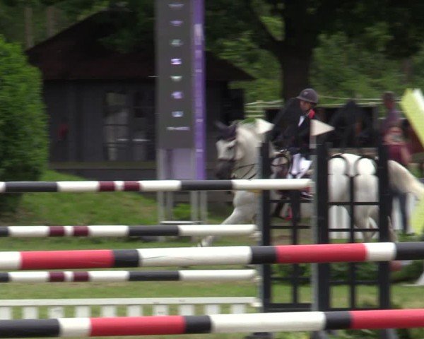 Reitturnier Scharnebeck 2025