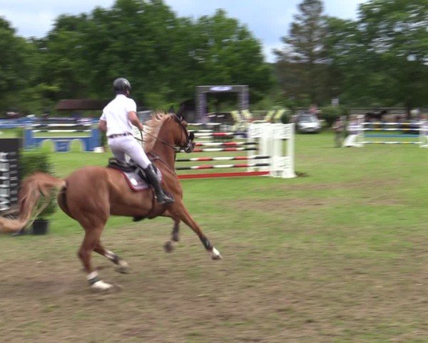 Reitturnier Scharnebeck 2025