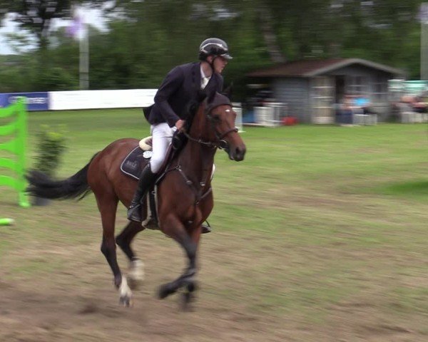 Reitturnier Scharnebeck 2025
