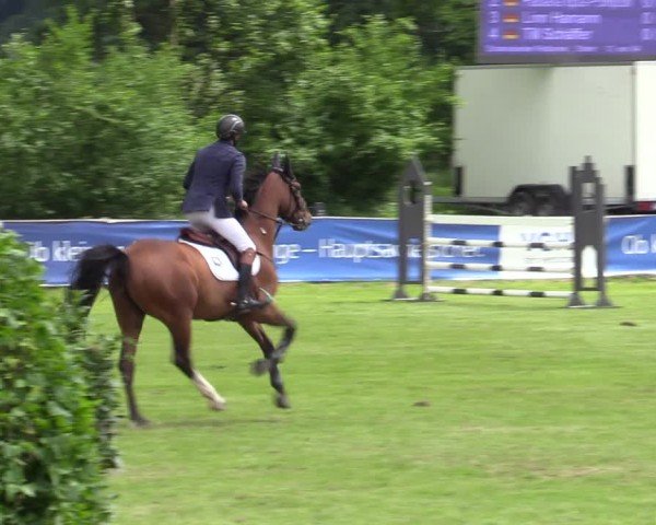 Reitturnier Scharnebeck 2025