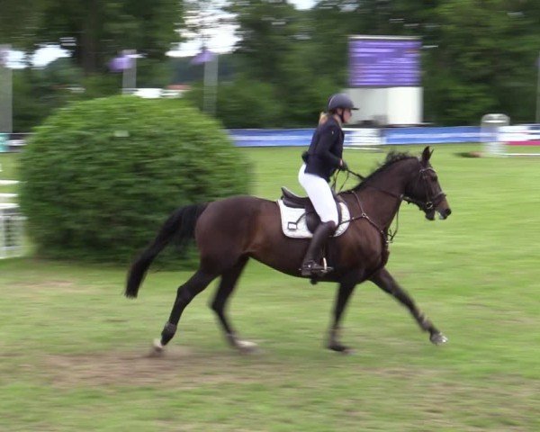 Reitturnier Scharnebeck 2025