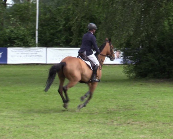 Reitturnier Scharnebeck 2025