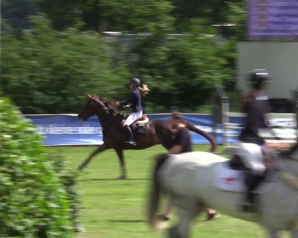 Reitturnier Scharnebeck 2025