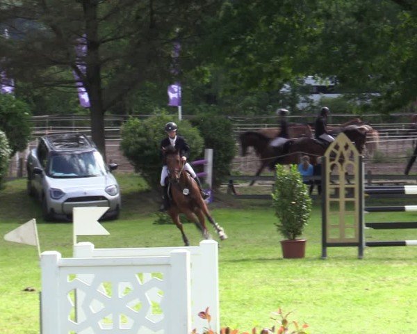 Reitturnier Scharnebeck 2025