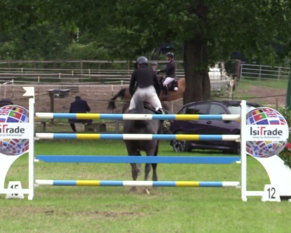 Reitturnier Scharnebeck 2025