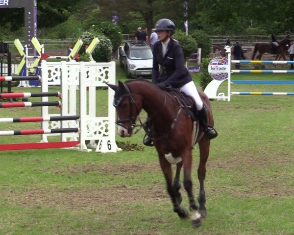 Reitturnier Scharnebeck 2025