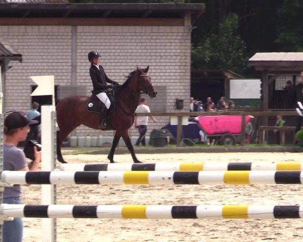 Reitturnier Kropp 2025