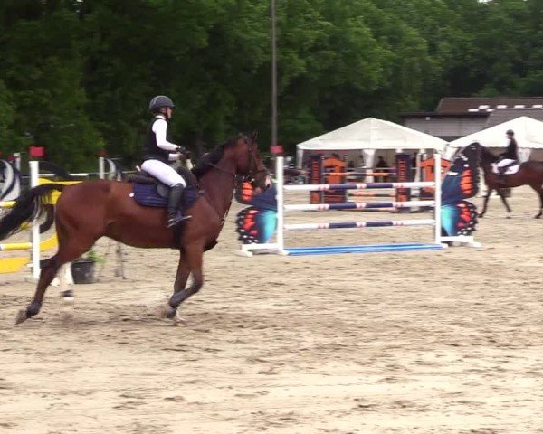 Reitturnier Kropp 2025
