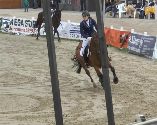 Lenklarer Reitertage 2014
