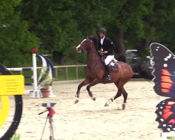 Reitturnier Kropp 2025