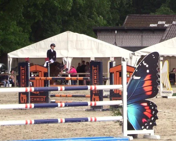 Reitturnier Kropp 2025