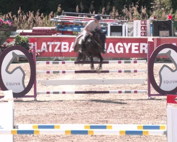 Reitturnier Lassee 2025